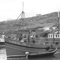BIM Trawler - picture 26